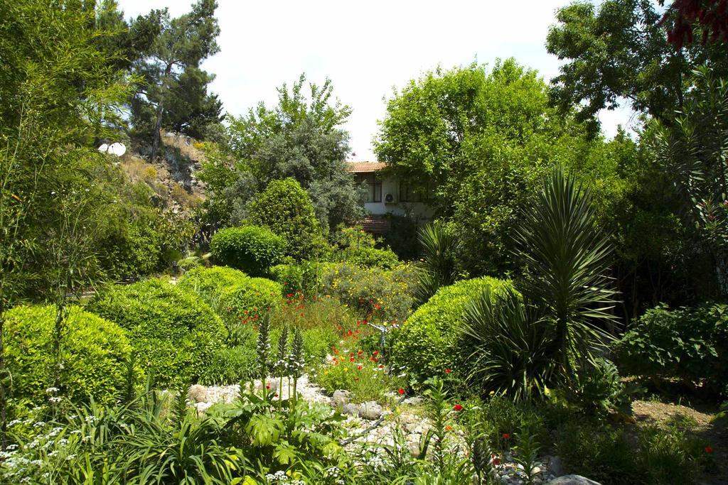 Dostlar Pension Tekirova Habitación foto